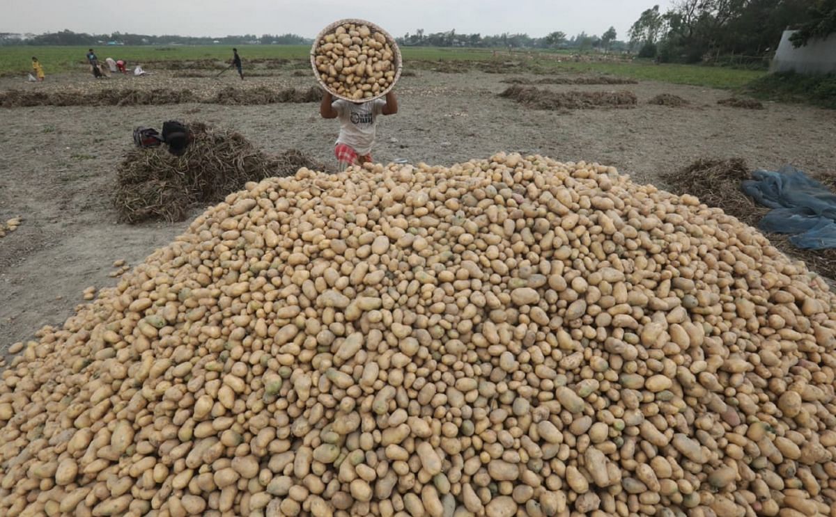 The Bangladesh Cold Storage Association (BCSA) seeks BDT 9 (USD 0.11) subsidy per kg of potato stored