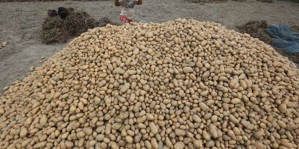 The Bangladesh Cold Storage Association (BCSA) seeks BDT 9 (USD 0.11) subsidy per kg of potato stored