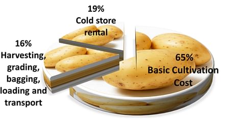 Can Indian growers ride the TOP (Tomato, Onion and Potato) wave?