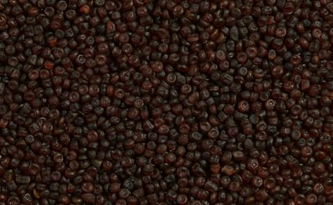 Almounajed Micro Pellets (Beetroot) Almounajed Micro Pellets (Beetroot)