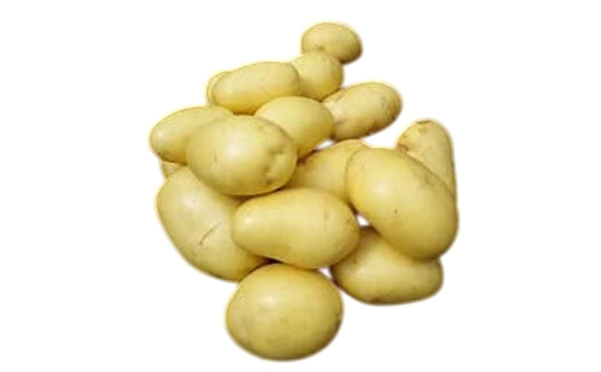 BELANA BELANA