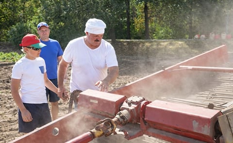 Belarus President Alexander Lukashenko is harvesting potatoes with his son Nicolai on the territory of his official residence Drozdy on August 16, 2015 (Courtesy BelTA) Belarus President Alexander Lukashenko is harvesting potatoes with his son Nicolai on the territory of his official residence Drozdy on August 16, 2015 (Courtesy BelTA)