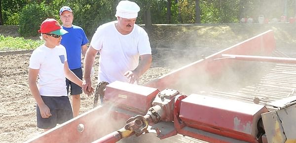 Belarus President Alexander Lukashenko is harvesting potatoes with his son Nicolai