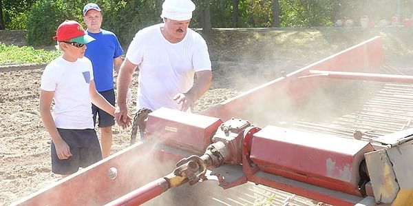 Belarus President Alexander Lukashenko is harvesting potatoes with his son Nicolai