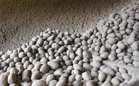 Belgapom quotation from 2021-2022 season only for potato variety Fontane. Belgapom quotation from 2021-2022 season only for potato variety Fontane.