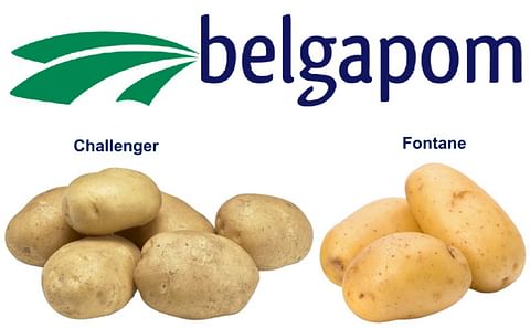 Belgapom quotation from 2022-2023 season for Fontane and Challenger. Belgapom quotation from 2022-2023 season for Fontane and Challenger.