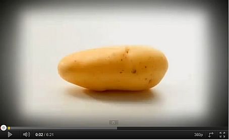 Video of the Belgian Potato Industry by Belgapom