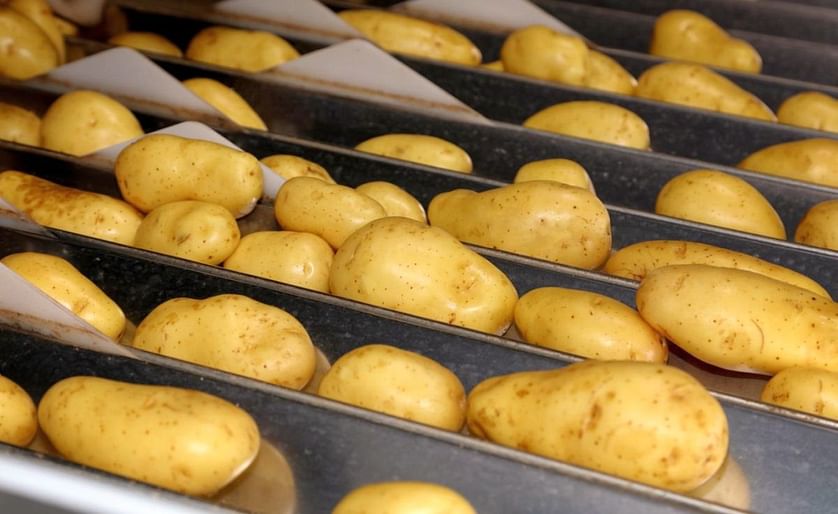 Belgian potato sector grows again in 2019.