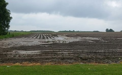 Stories about large losses in harvest in the Belgian sector due to the heavy rainfall are circulating in various media Stories about large losses in harvest in the Belgian sector due to the heavy rainfall are circulating in various media