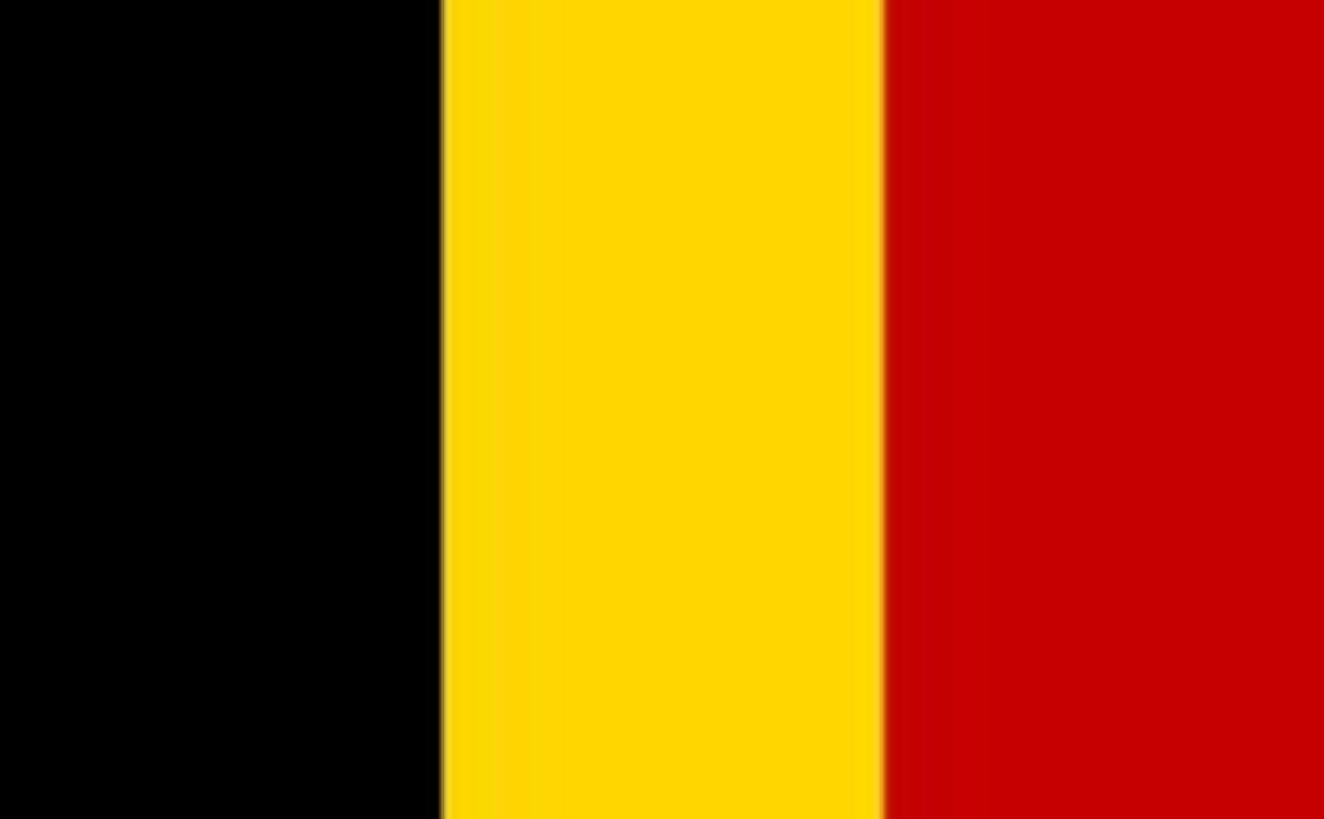 België heeft Nederland als grootste aardappelexporteur van de troon gestoten. Van de Belgische akkers is vorig jaar 3,2 miljard kilo aan verse aardappelen verwerkt tot friet, rösti, puree en diepvriesproducten.