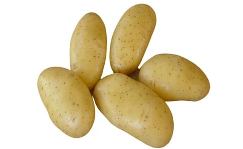 BELLE DE FONTENAY BELLE DE FONTENAY