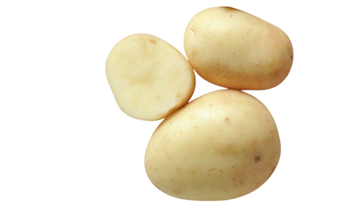 BELLINDA BELLINDA