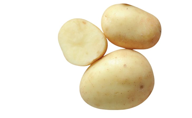 BELLINDA BELLINDA