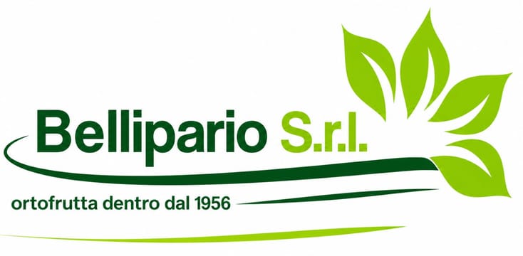 Bellipario S.r.l. Bellipario S.r.l.