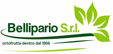 Bellipario S.r.l. Bellipario S.r.l.