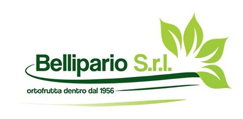 Bellipario S.r.l. Bellipario S.r.l.