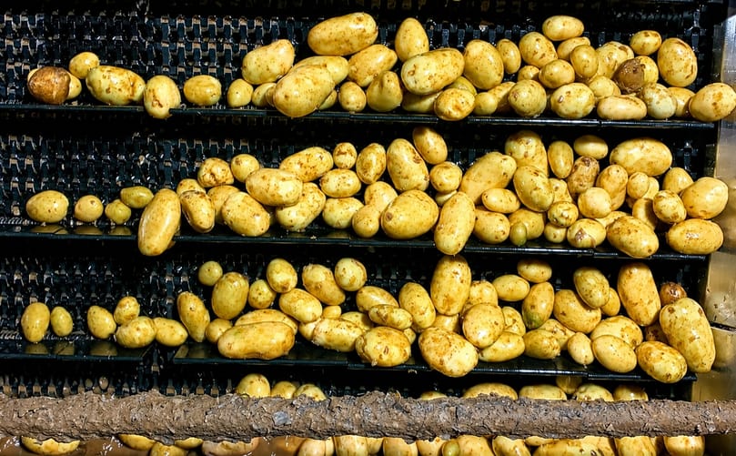 The S1750 modular plastic belt is designed to support potato washing operations with improved drainage and reduced maintenance requirements