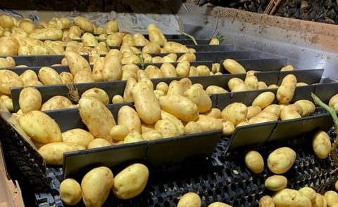 The Intralox Series 1750 Flush Grid belt is designed to optimize potato washer outfeed systems, offering superior abrasion resistance and reliability for high-volume potato processing lines. The Intralox Series 1750 Flush Grid belt is designed to optimize potato washer outfeed systems, offering superior abrasion resistance and reliability for high-volume potato processing lines.