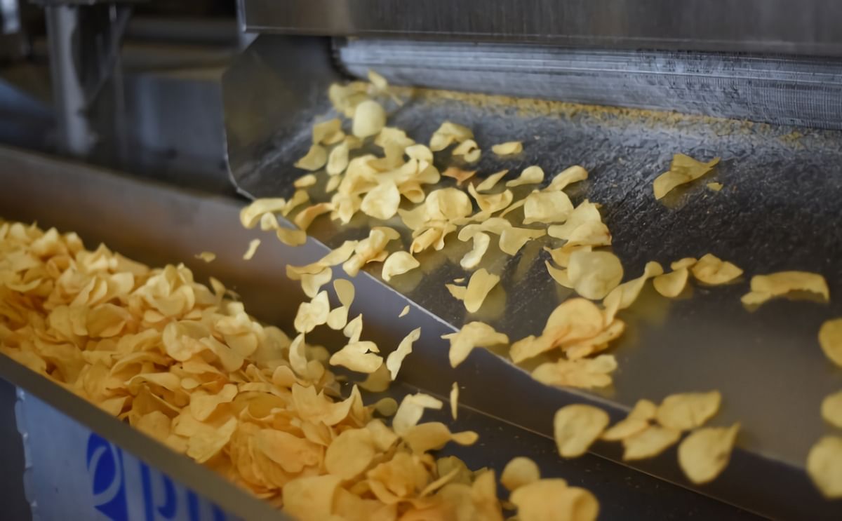 Better Made Potato Chips emerging from the fryer