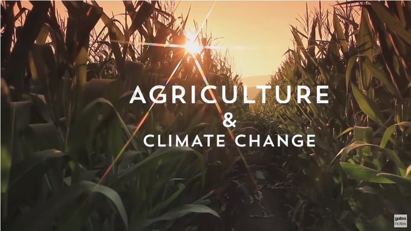 A better way to fertilize
A better way to fertilize