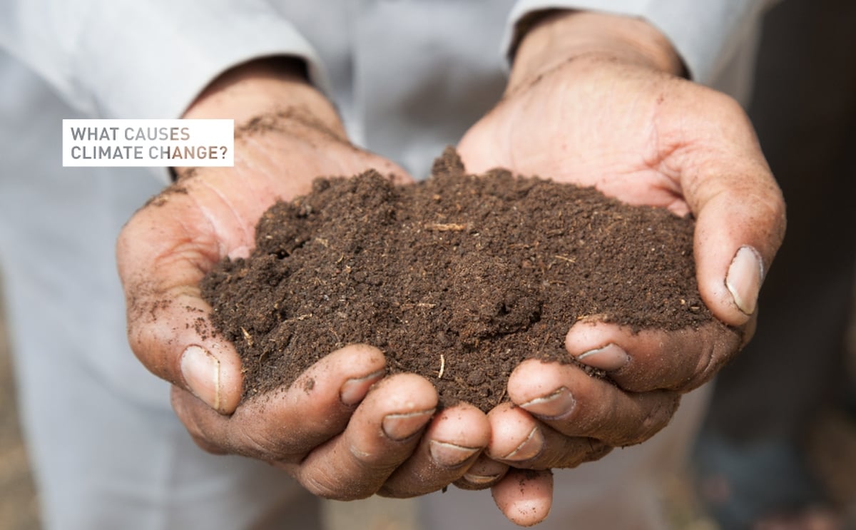 Bill Gates: 'We should discuss soil as much as we talk about coal' Bill Gates: 'We should discuss soil as much as we talk about coal'