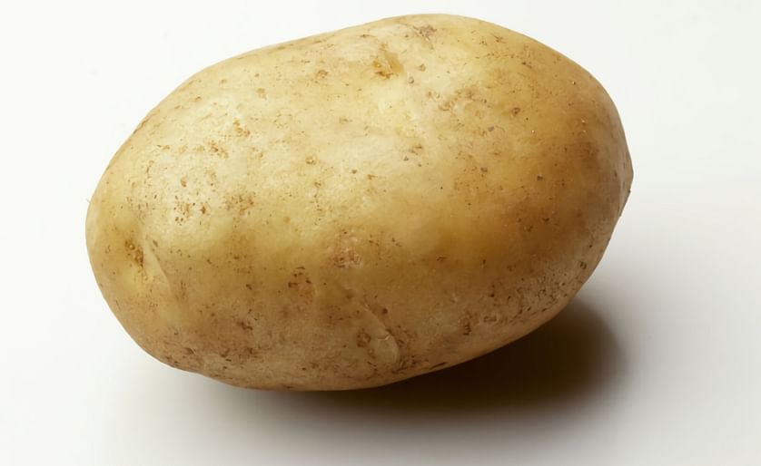 Bintje - a Dutch potato variety bred over a century ago (1904) - is still very popular in the Netherlands and Belgium, especially for the production of French Fries, but its sensitivity to potato diseases is a major concern.