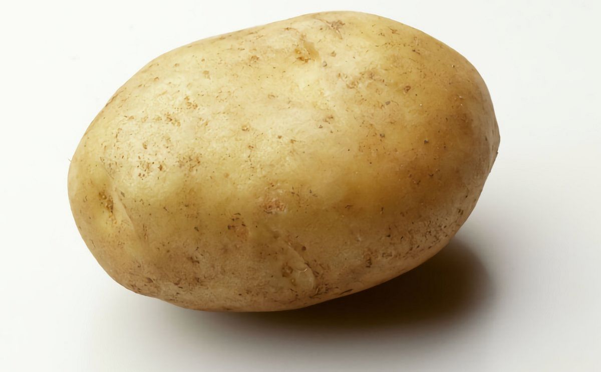 Bintje - a Dutch potato variety bred over a century ago (1904) - is still very popular in the Netherlands and Belgium, especially for the production of French Fries, but its sensitivity to potato diseases is a major concern.