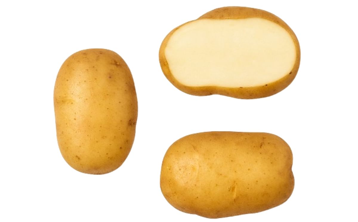 Amerika leert aardappel achter Belgische frieten kennen