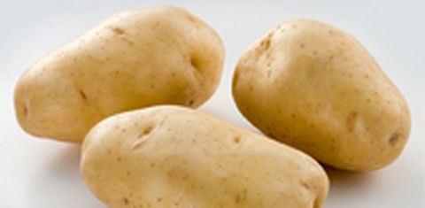 Germany: Bintje potato of the year 2012