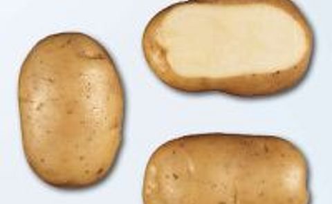 Amerika leert aardappel achter Belgische frieten kennen Amerika leert aardappel achter Belgische frieten kennen