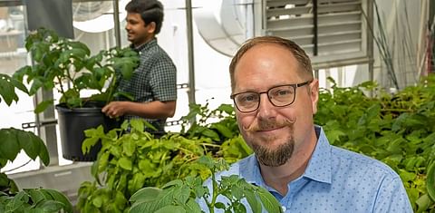 Biochemistry offers path to help reduce huge losses in potato industry
