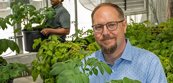 Biochemistry offers path to help reduce huge losses in potato industry