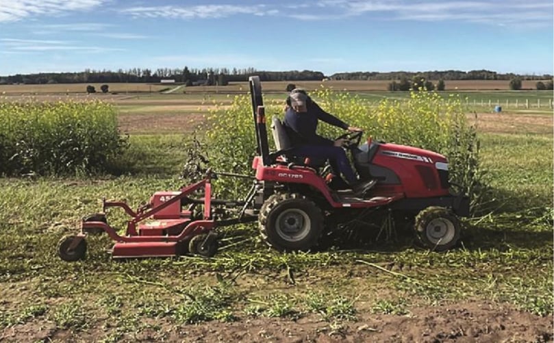 Biofumigation preparation using a mower for chopping the mustard
plants at Simcoe, Ont. crop rotation plots Biofumigation preparation using a mower for chopping the mustard
plants at Simcoe, Ont. crop rotation plots