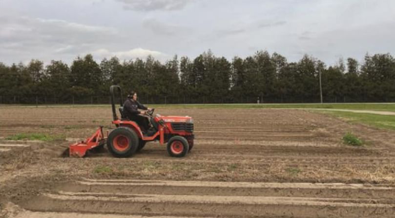 Biofumigation preparation using rototiller for mixing the topsoil and
chopped mustard before compacting in Simcoe, Ont.
