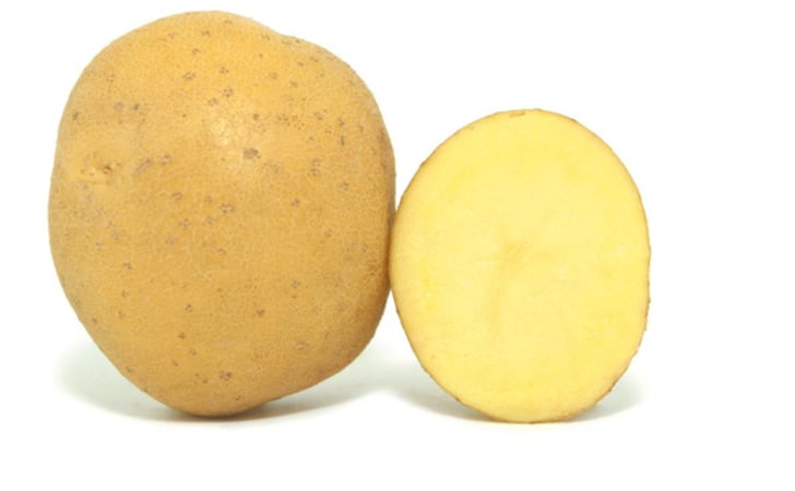 BIONTA BIONTA