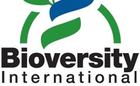 Cómo ven el cambio climático los productores bolivianos, nepaleses e indios y qué están haciendo para enfrentarlo? Cómo ven el cambio climático los productores bolivianos, nepaleses e indios y qué están haciendo para enfrentarlo?