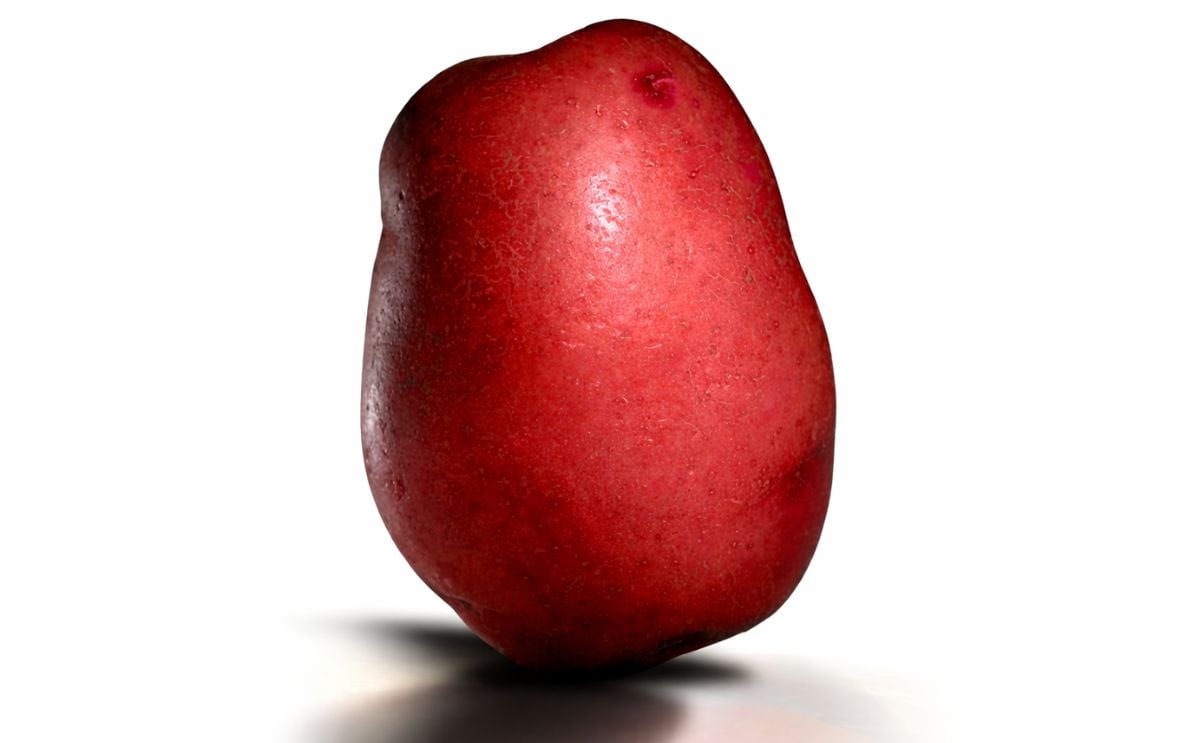 Educating the other half of Americans about Red Potatoes Educating the other half of Americans about Red Potatoes