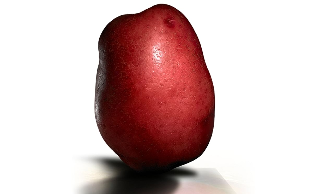 Get REDucated about red potatoes