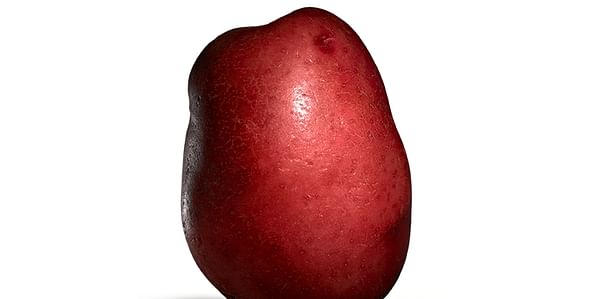 Educating the other half of Americans about Red Potatoes