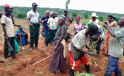 Demonstration on Agronomic practices to People of Concern at Juru land in Nakivale camp Demonstration on Agronomic practices to People of Concern at Juru land in Nakivale camp