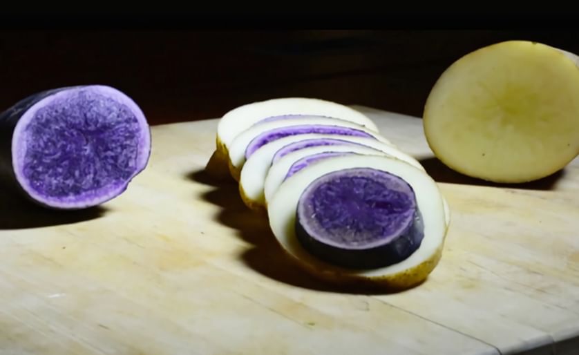 Blue and white potatoes sliced (Courtesy: Penn State University)