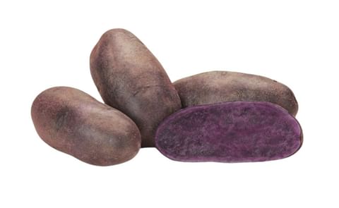 BLUE ST. GALLEN BLUE ST. GALLEN