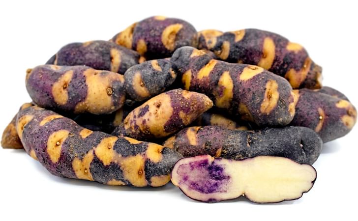 BLUE RACCOON BLUE RACCOON