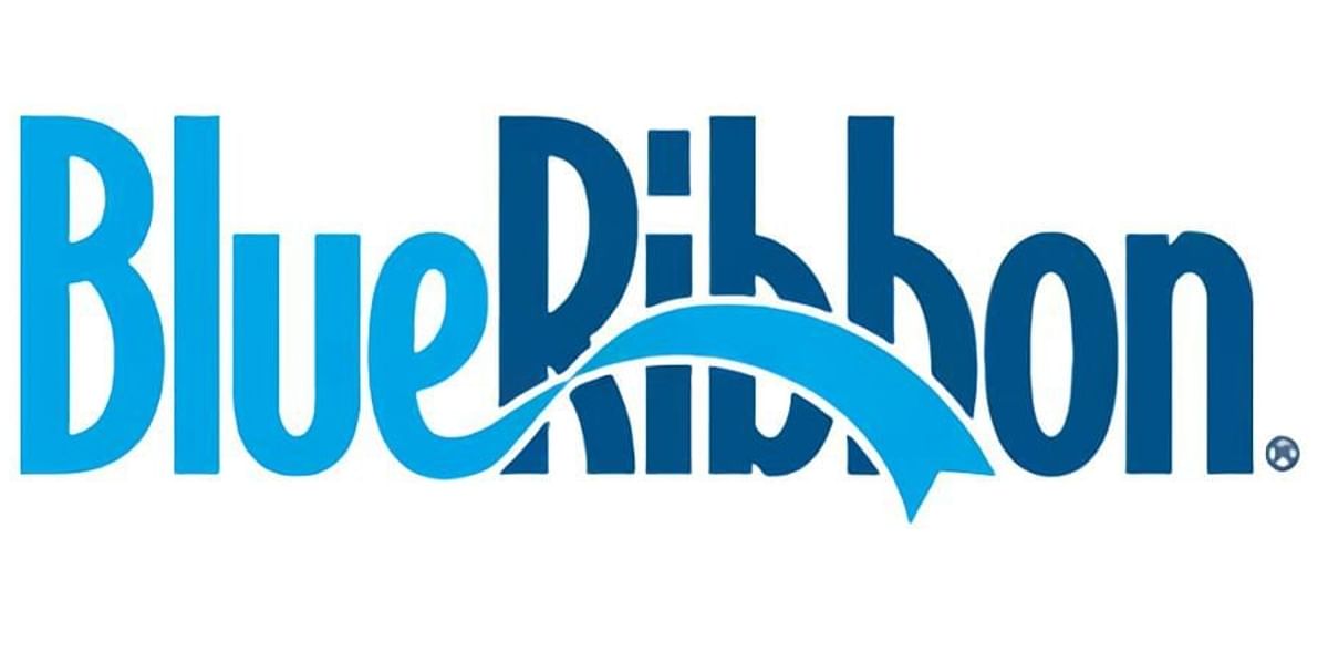 Simplot Classic Fries