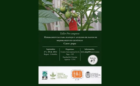 Herramientas para el manejo y análisis de datos de mejoramiento genético (papa) Herramientas para el manejo y análisis de datos de mejoramiento genético (papa)