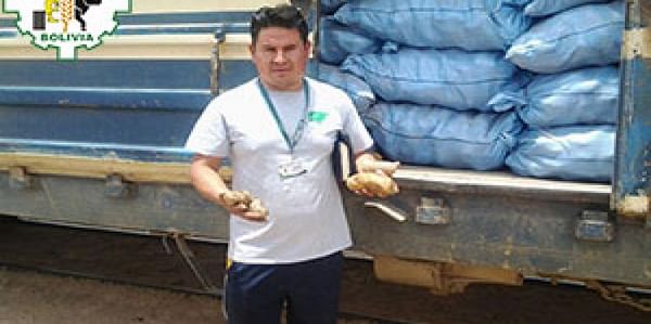 Bolivia: Decomisan dos vagones con papa y harina de contrabando desde Argentina