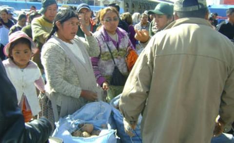 Bolivia: Para evitar especulación de papa el Gobierno organiza una feria Bolivia: Para evitar especulación de papa el Gobierno organiza una feria