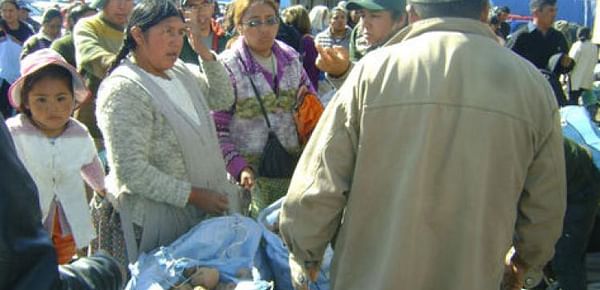 Bolivia: Para evitar especulación de papa el Gobierno organiza una feria