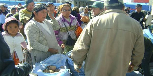 Bolivia: Para evitar especulación de papa el Gobierno organiza una feria