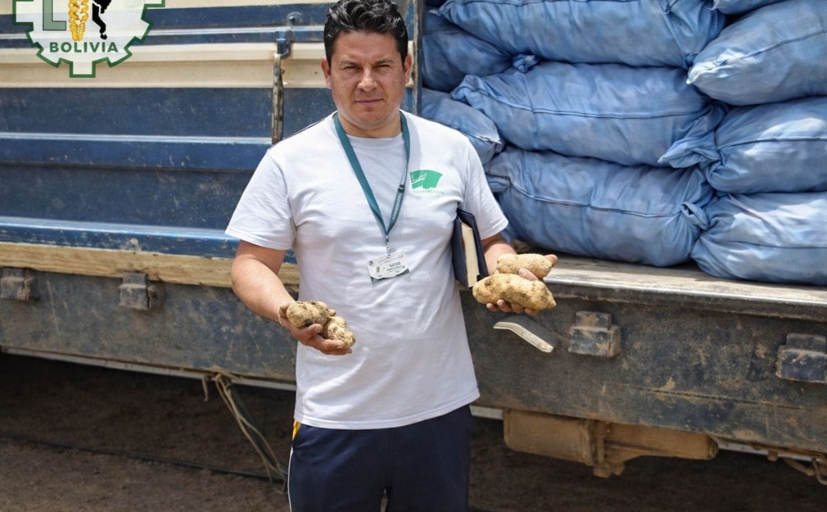 Bolivia: Decomisan dos vagones con papa y harina de contrabando desde Argentina